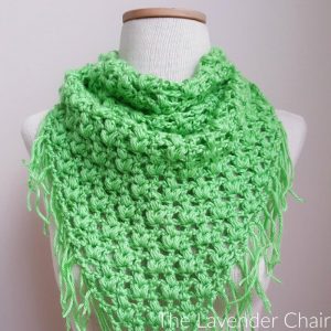 Read more about the article Clover Puff Triangle Scarf Crochet Pattern