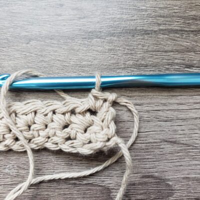 Read more about the article Crochet Tutorial: Standing Single Crochet