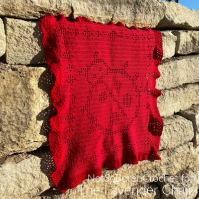 Read more about the article Filet Ladybug Blanket Crochet Pattern