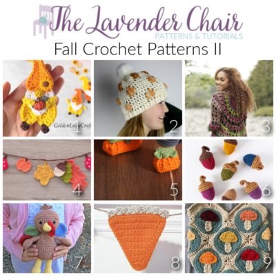 Read more about the article Fall Crochet Patterns II